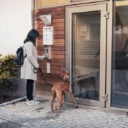 What Is a Dog-Friendly Apartment?