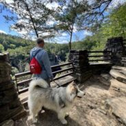 Best Dog Friendly National Parks