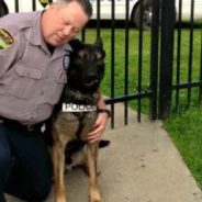 City Refuses To Allow Retiring Police Officer To Keep His K-9 Partner So Community Step In To Help