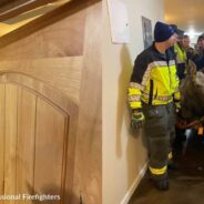 Firefighters Rescue Moose That Fell Into Alaska Basement