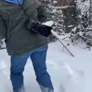 Rescuers Follow Footprints In The Snow And Find Cold Pittie Hiding From The Storm