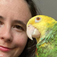 Sonny Is A Bright Bird With One Of The Sweetest Personalities On Instagram