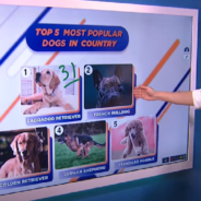 Steve Kornacki Uses His famous “Big Board” To Analyze Dog Trends In The United States