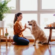 Things To Let Your New Dog Sitter Know About Your Pet