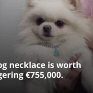 U.K. Jeweler Makes $876,819 Bling for Dogs