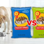 Why freeze-dried dog food is better than dehydrated