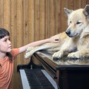 Young Girl Performs “Moon River” On Piano For Rescue Dog