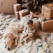 2022’s Ultimate Holiday Gift Guide for Pets