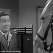 9 Behind The Scenes Secrets About Mister Ed, The Famous Talking Horse