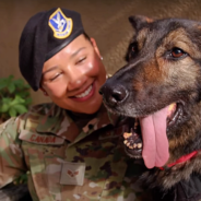 Airman Has Emotional Reunion With Her Retired K9 Partner After Adopting Him