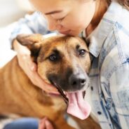 Are Your Scenting Products Safe for Your Four-Legged Family?