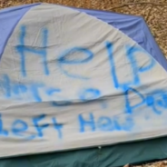 Dog Rescued From Tent Spray-Painted With A “Help” Message