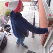 Friendly Squirrel Leaves Christmas Cookie For Her Neighbor