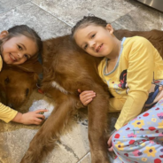 Golden Retriever Protects Young Girls Lost In The Woods