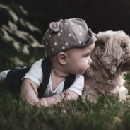 The Wisdom of Gifting Pets to Kids and Whether You’re Up for the Challenge