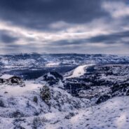 Theodore Roosevelt National Park in North Dakota Allows Small Window for Input on Cattle/Horse Decision