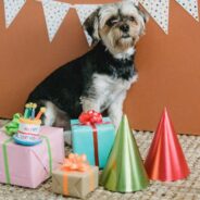 This Fur Mom’s Love is On Another Level as She Throws a Special Baby Shower for Her Dog