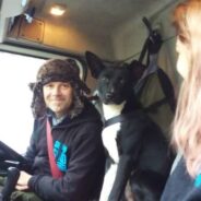 Ukrainian Dog Frightened By Nearby Missile Attack Takes Refuge In Pizza Truck With Volunteers