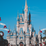 Where Do Service Dogs Wait While Guests Go On Rides At Disneyland?