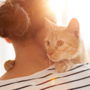 10 Ways You Can Help Save Cats Of Families Affected By Crisis