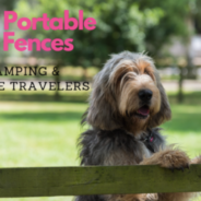 Best Portable Dog Fences: Reviews & Buyers Guide