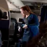 Flight Attendant Finds Loose Cat Mid-Flight And Tries To Wrangle It