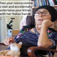 Italian Nonna Mesmerizes Kitten By Talking With Her Hands