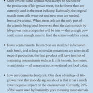 Lab-Grown Meat – Should It Be Used in Pet Food?