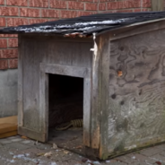 Man Creates Luxury Tiny House For Dog To Keep Warm In Winter