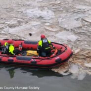 Ohio Firefighters Rescue Kittens Thrown Off Bridge Into Icy River