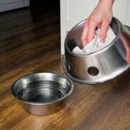 Pet Cleaning Products You Need for Living with Your Dog