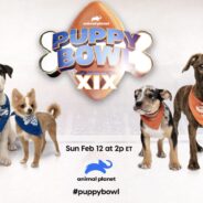 The Puppy Bowl is Back for 2023