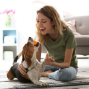 Tips for Finding the Best Pet Products and Brands