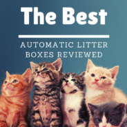 Best Automatic Litter Box (Self-Cleaning Boxes) Reviewed