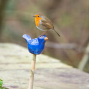 Clever Ways To Attract Birds To Your Garden