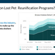 From Lost to Found: How a 48 Hour Window Can Help Reunite Pets With Their Families