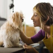 How Much to Tip a Dog Groomer