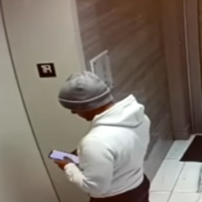 Man Rescues Dog Dangling From Elevator Doors