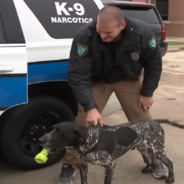 Officer Runs Into Tornado To Save K9 Partner Trapped In Police Car