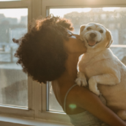 Survey Shows Dog Owners Can Tell Their Pet’s Mood Based On Their Behavior