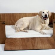 What is a Whelping Box for Dogs?