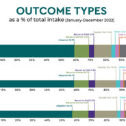 Where We Find Hope and a Call to Action in the (Pretty Dismal) 2022 Shelter Data