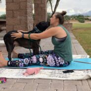 Yoga Pup Searching for Forever Home Has Downward-Facing Dog Nailed!