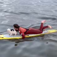 California Lifeguard Saves Little Dog Lost At Sea