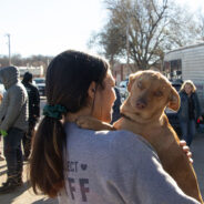 Pawsitively Thriving: Strategies for Work-Life Balance in Animal Welfare