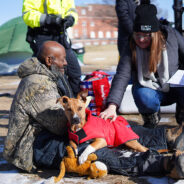 Supporting Both Ends of the Leash: What Community Support Looks Like in a HASS Pilot Shelter