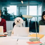 Take Your Dog to Work Day: What You Must Know