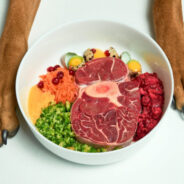 Why Dogs Need Variety in Their Food