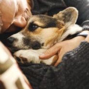 Why Some Pet Parents Choose In-Home Euthanasia