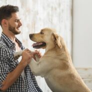 10 Ways Dogs Show Affection for You